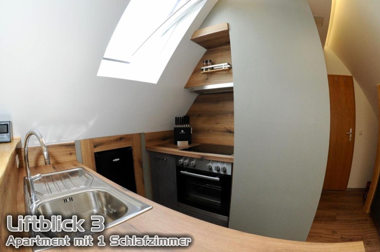 Ferienwohnungen "Liftblick 2 Oder 3" Im Kurort Altenberg Ngoại thất bức ảnh